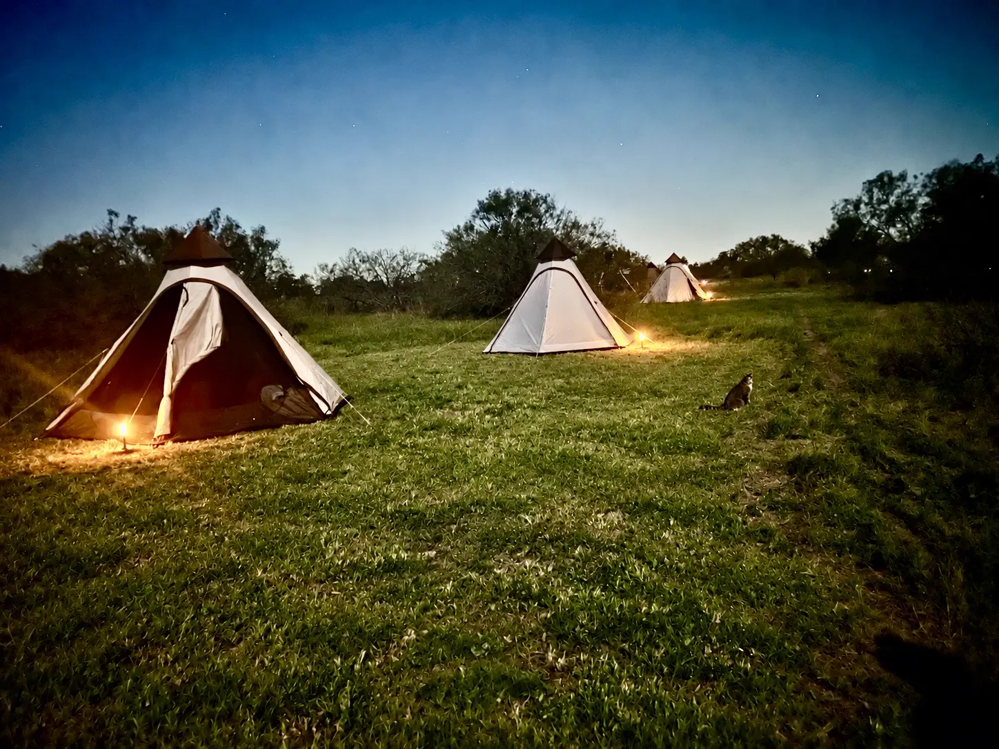A furnished glamping tent